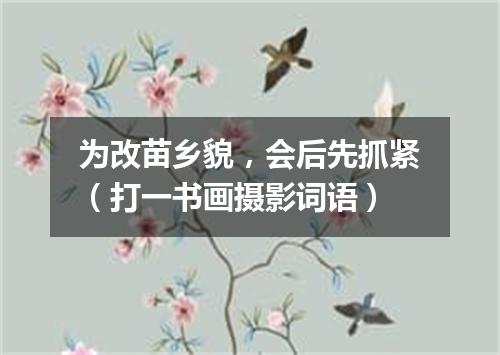 为改苗乡貌，会后先抓紧（打一书画摄影词语）