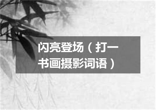 闪亮登场（打一书画摄影词语）