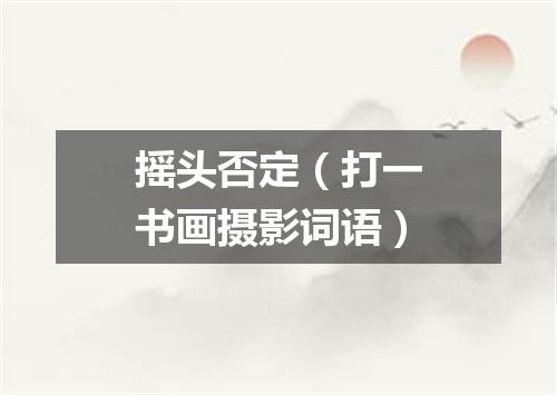 摇头否定（打一书画摄影词语）