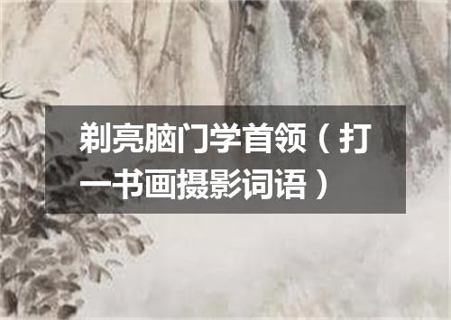 剃亮脑门学首领（打一书画摄影词语）