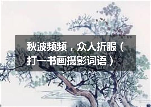秋波频频，众人折服（打一书画摄影词语）