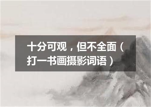 十分可观，但不全面（打一书画摄影词语）