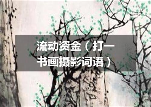 流动资金（打一书画摄影词语）