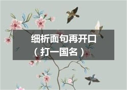 细析面句再开口（打一国名）