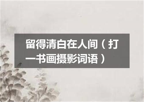 留得清白在人间（打一书画摄影词语）