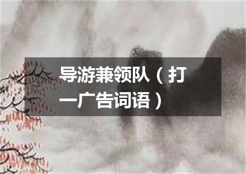 导游兼领队（打一广告词语）