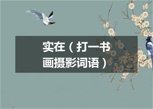 实在（打一书画摄影词语）
