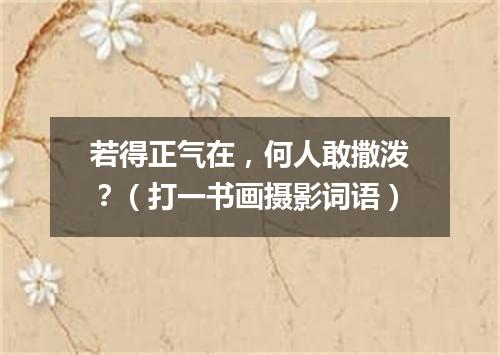 若得正气在，何人敢撒泼？（打一书画摄影词语）
