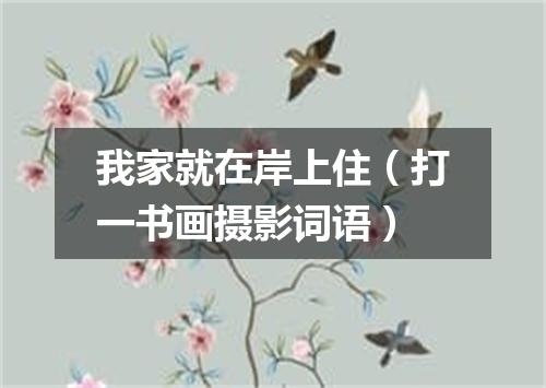 我家就在岸上住（打一书画摄影词语）