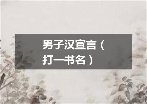男子汉宣言（打一书名）