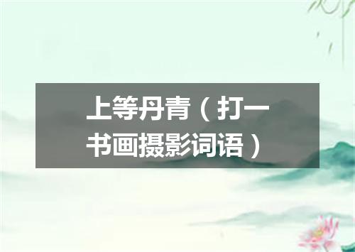 上等丹青（打一书画摄影词语）