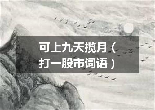 可上九天揽月（打一股市词语）