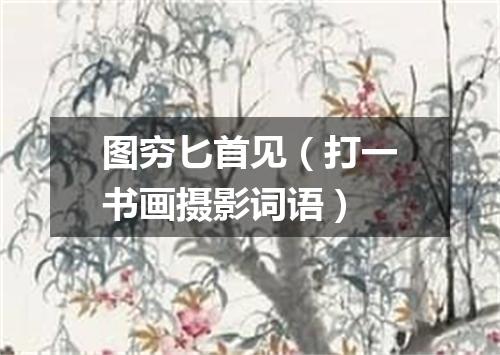 图穷匕首见（打一书画摄影词语）