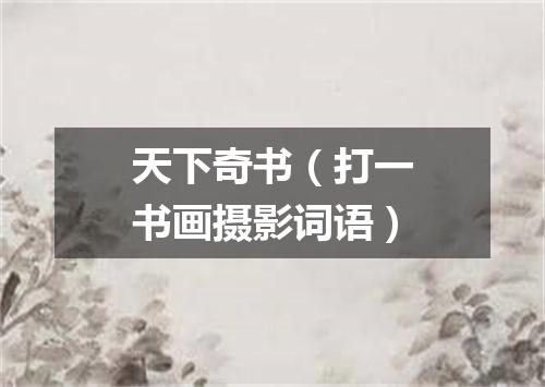 天下奇书（打一书画摄影词语）