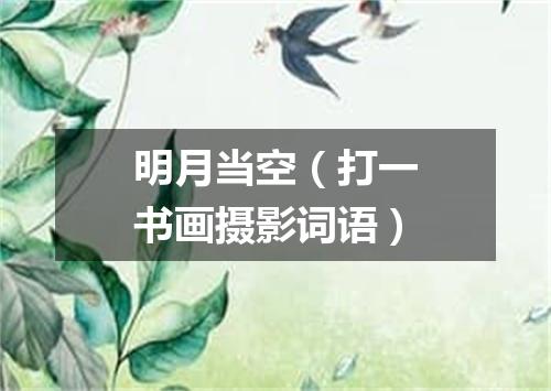明月当空（打一书画摄影词语）