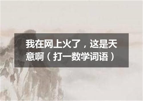 我在网上火了，这是天意啊（打一数学词语）