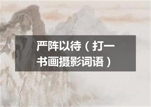 严阵以待（打一书画摄影词语）