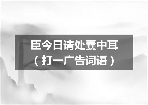 臣今日请处囊中耳（打一广告词语）