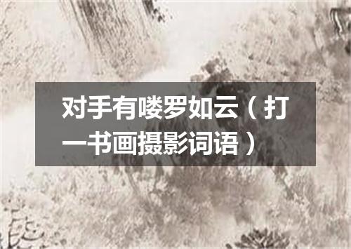 对手有喽罗如云（打一书画摄影词语）