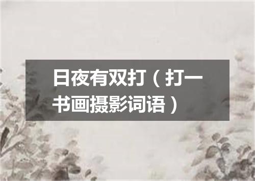 日夜有双打（打一书画摄影词语）