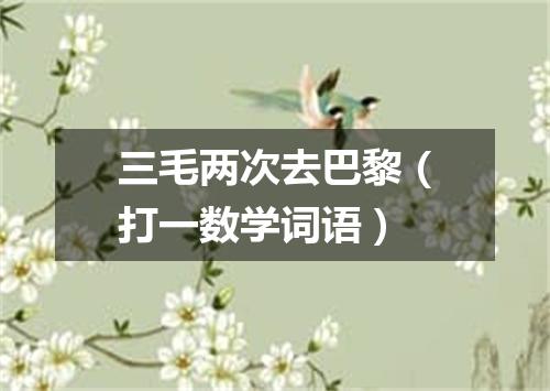 三毛两次去巴黎（打一数学词语）