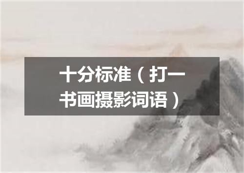 十分标准（打一书画摄影词语）