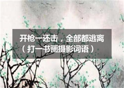 开枪一还击，全部都逃离（打一书画摄影词语）