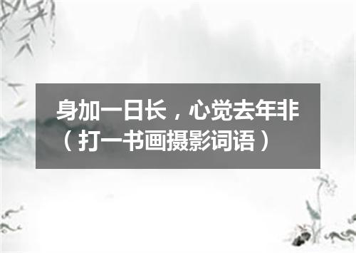 身加一日长，心觉去年非（打一书画摄影词语）