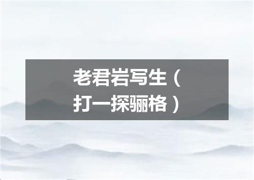 老君岩写生（打一探骊格）