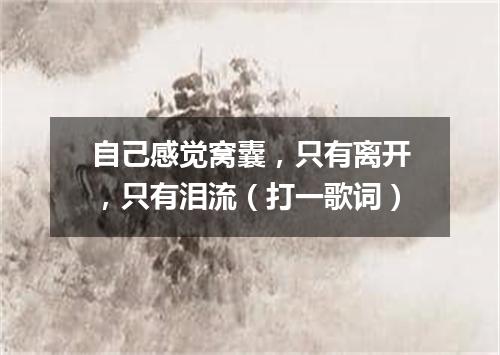 自己感觉窝囊，只有离开，只有泪流（打一歌词）