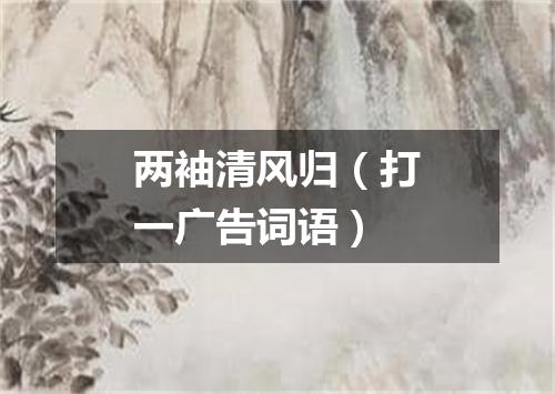 两袖清风归（打一广告词语）