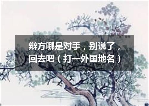 辩方哪是对手，别说了，回去吧（打一外国地名）