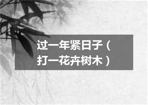 过一年紧日子（打一花卉树木）