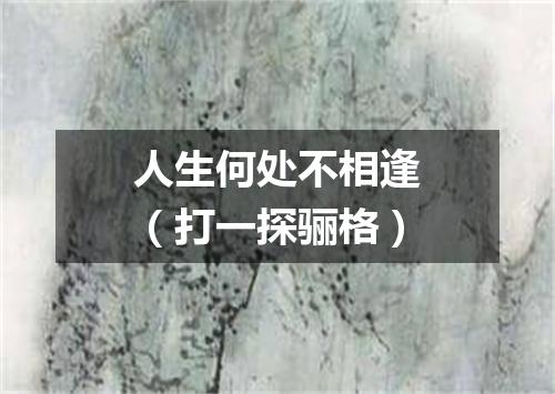 人生何处不相逢（打一探骊格）