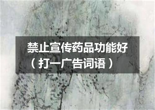 禁止宣传药品功能好（打一广告词语）