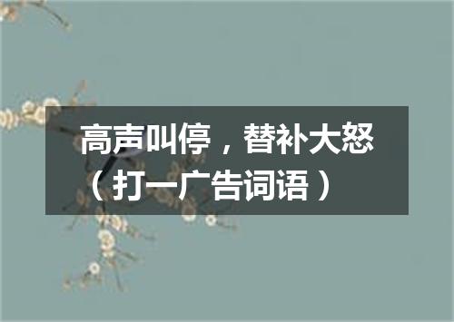 高声叫停，替补大怒（打一广告词语）