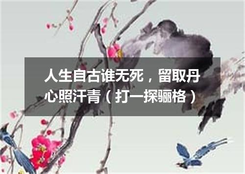 人生自古谁无死，留取丹心照汗青（打一探骊格）