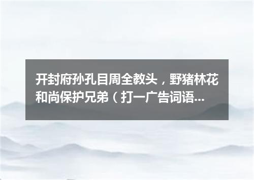 开封府孙孔目周全教头，野猪林花和尚保护兄弟（打一广告词语）