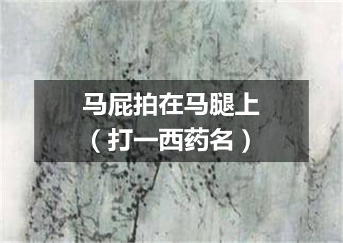 马屁拍在马腿上（打一西药名）