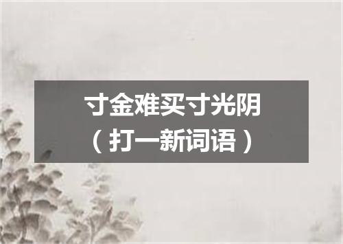 寸金难买寸光阴（打一新词语）
