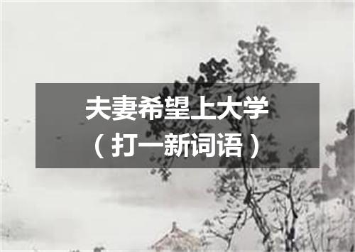 夫妻希望上大学（打一新词语）