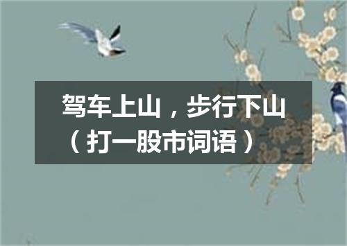 驾车上山，步行下山（打一股市词语）