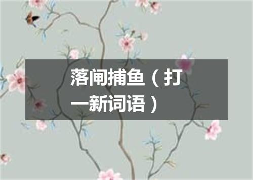 落闸捕鱼（打一新词语）