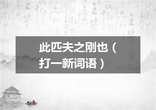 此匹夫之刚也（打一新词语）