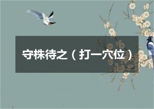 守株待之（打一穴位）