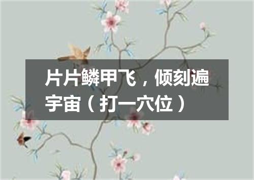 片片鳞甲飞，倾刻遍宇宙（打一穴位）