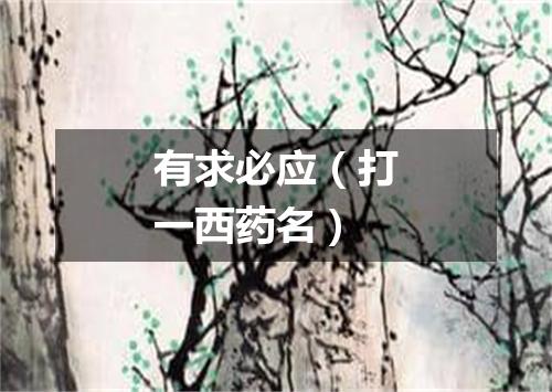 有求必应（打一西药名）