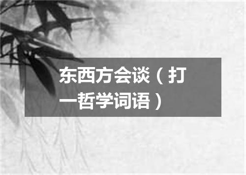 东西方会谈（打一哲学词语）