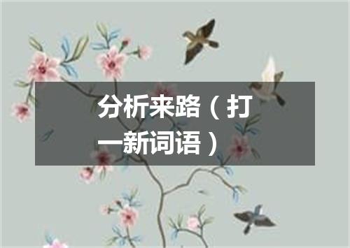 分析来路（打一新词语）