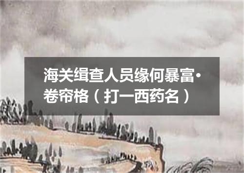 海关缉查人员缘何暴富·卷帘格（打一西药名）
